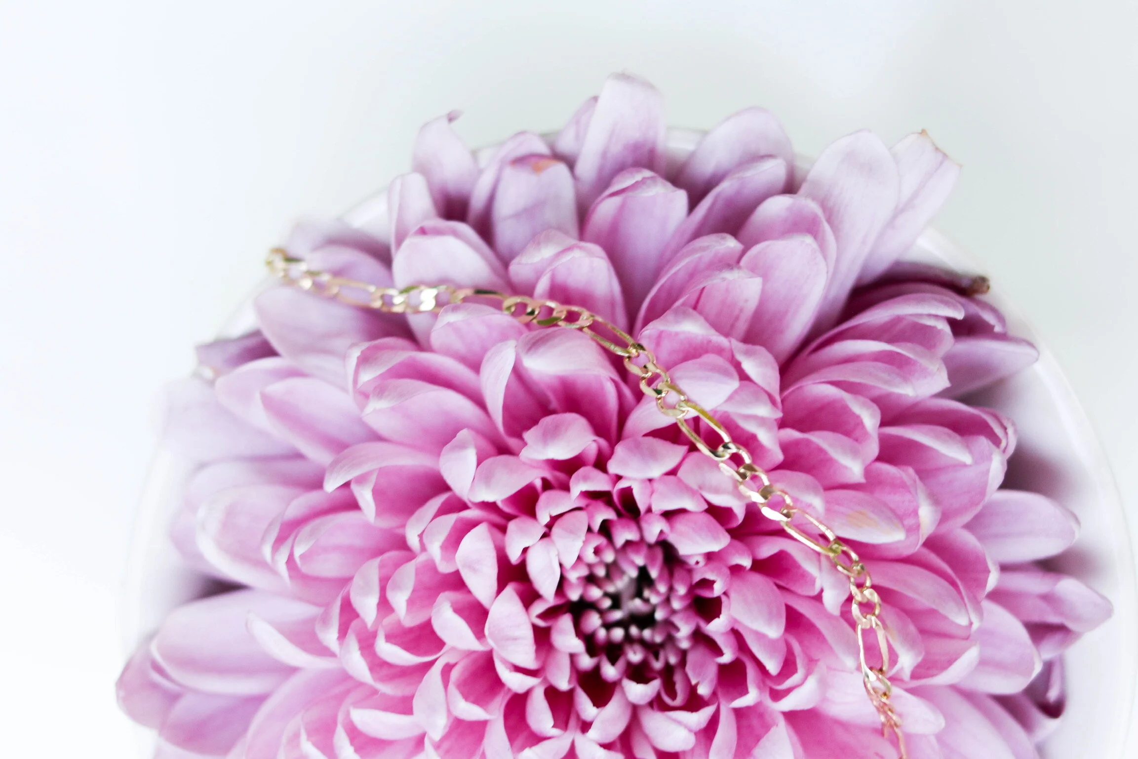 52E90819-8BF1-4DC6-9150-1BFAE00E3991