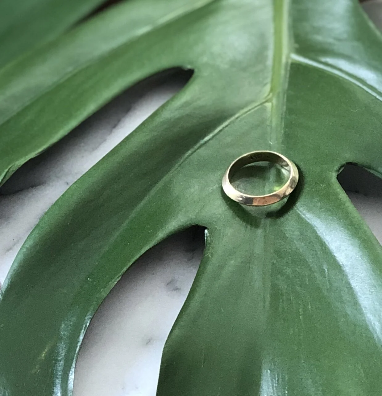 1672FD4E-70E3-4CB6-8BD5-35E90D3A2422