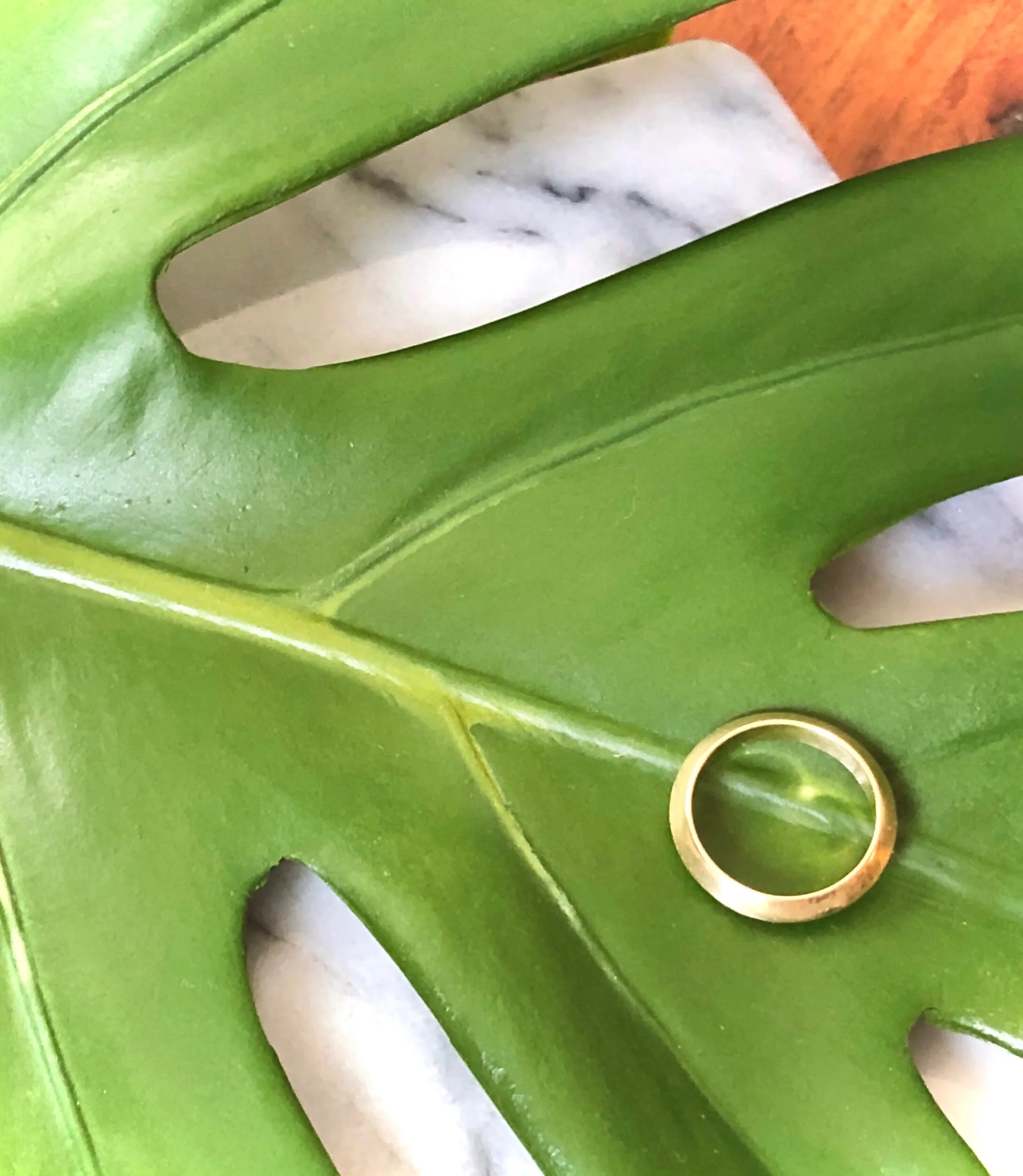 22B19CD5-5385-4F6E-9DBB-61AA3B5B3646