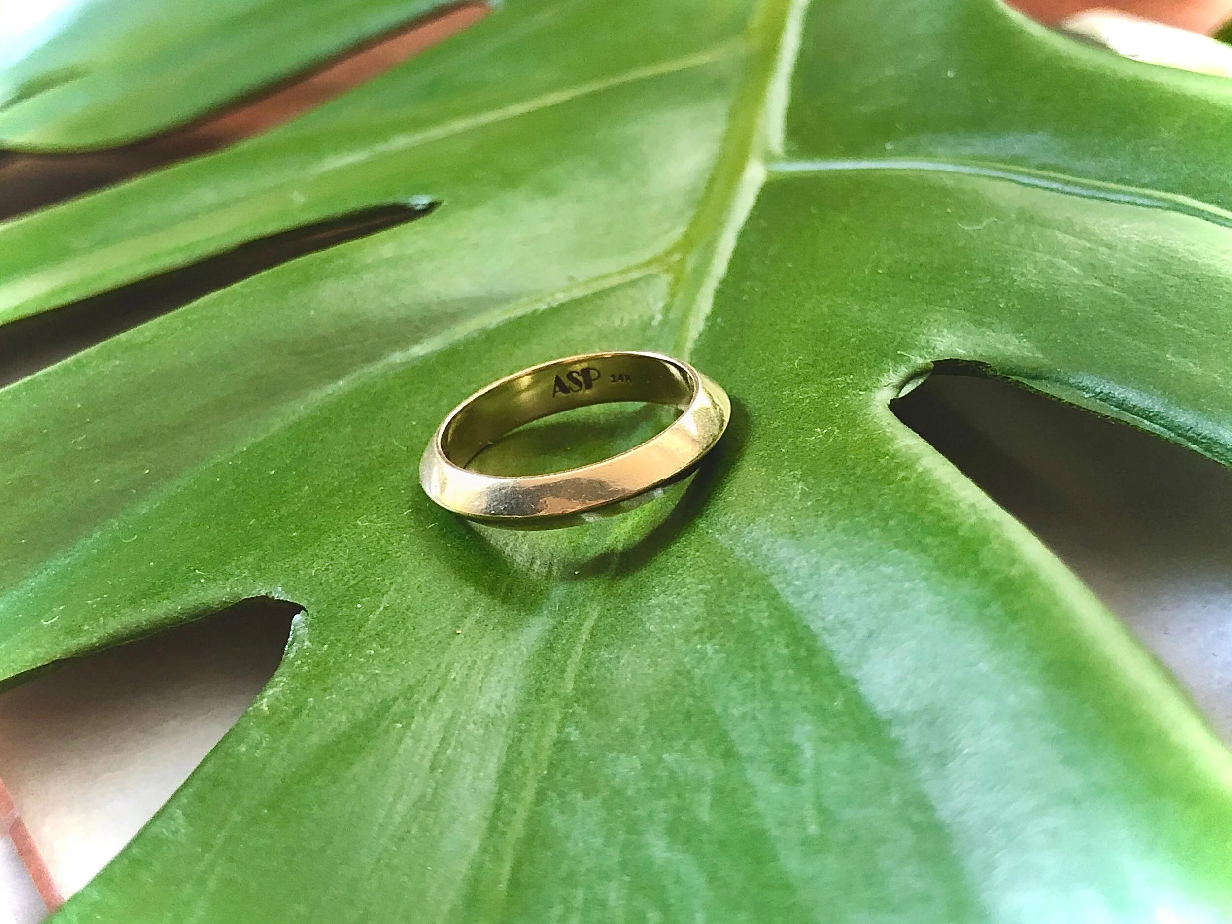 A79A3DB1-CBAF-42F7-8135-C9D9C6CCD48F