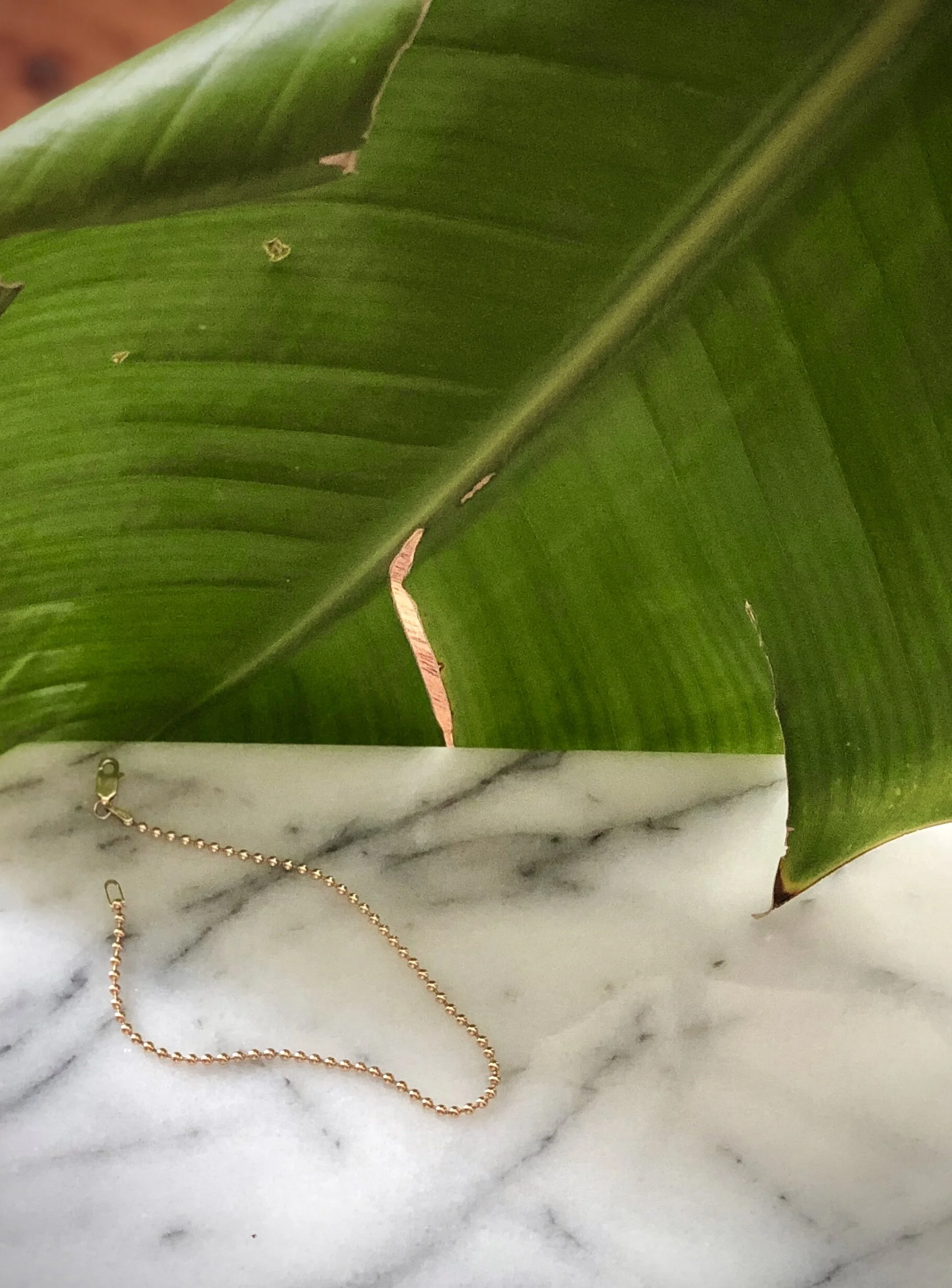 D016DE75-2341-49C2-80BE-32C561EE883F