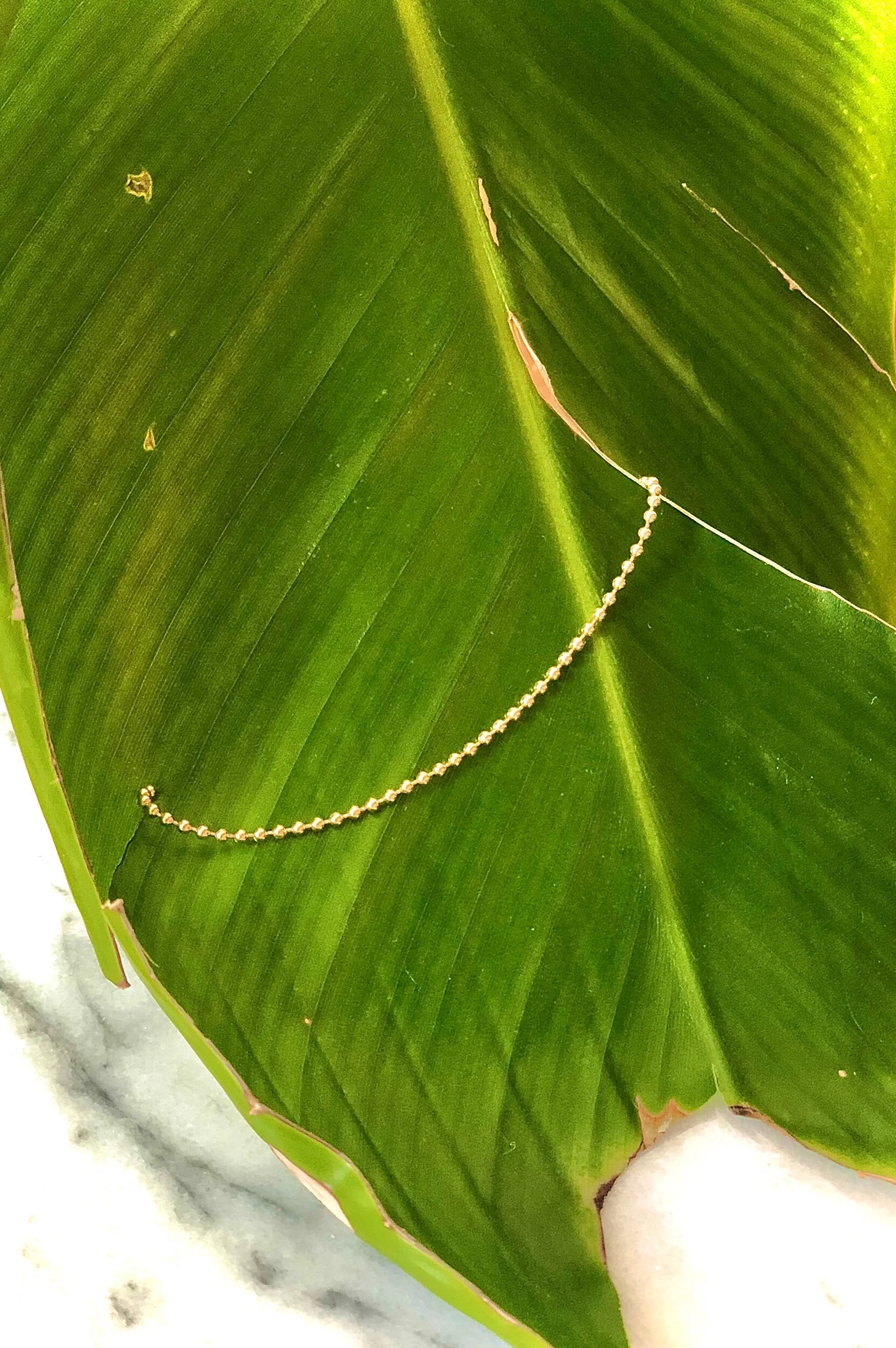 A5E54A64-CE18-4D84-BA83-0224F76BA3E3