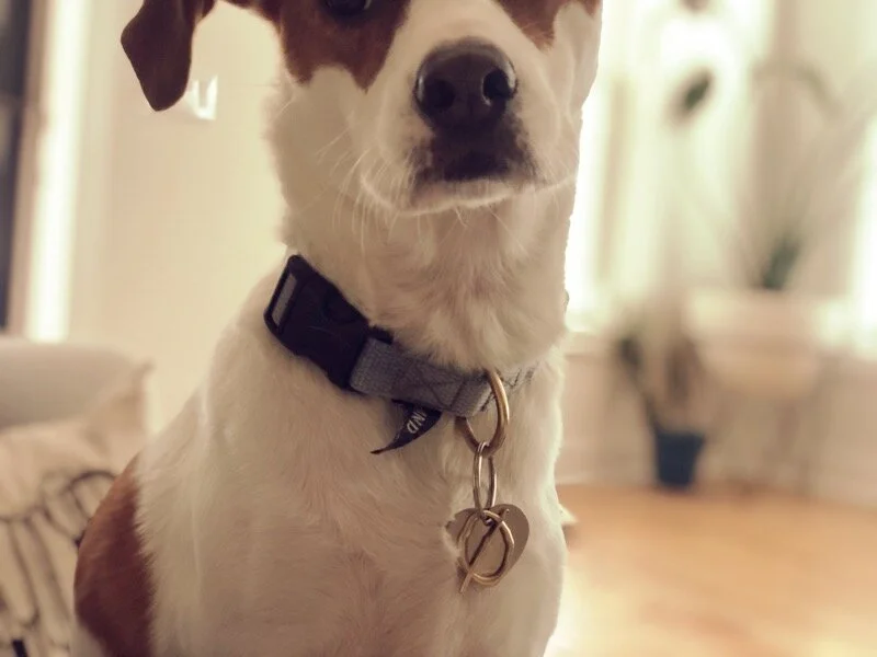 371EA532-5871-4C93-B1AB-48099715A247