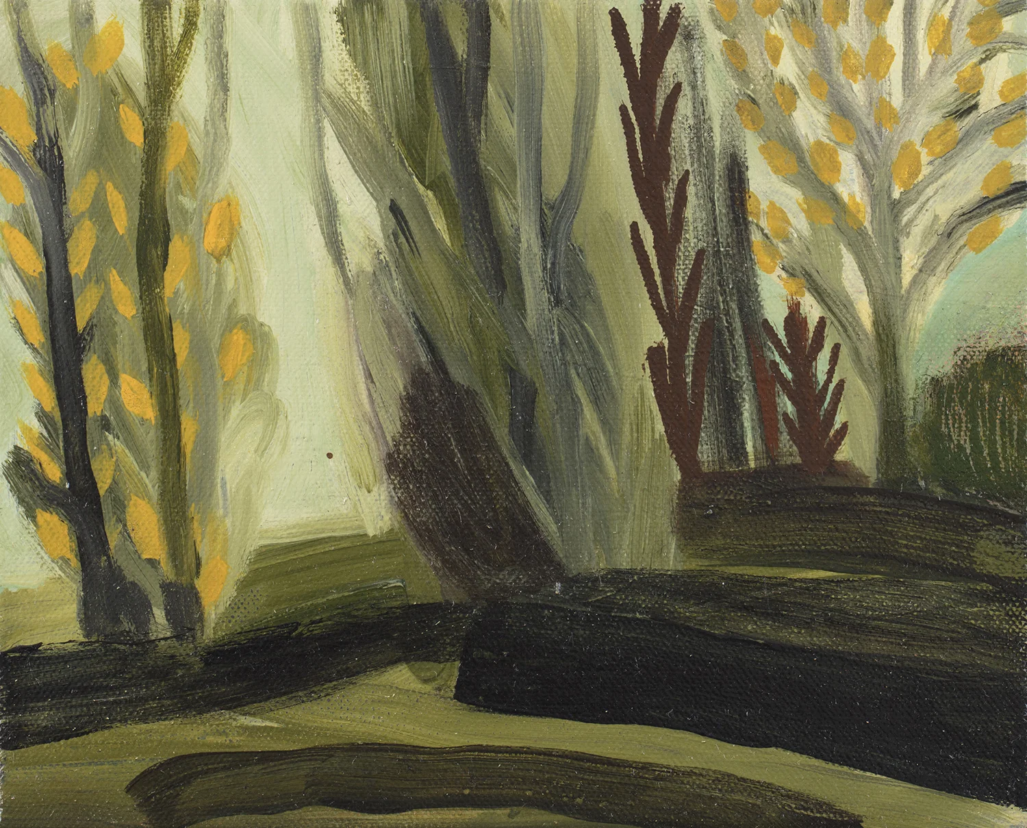 0C8A8132.jpg