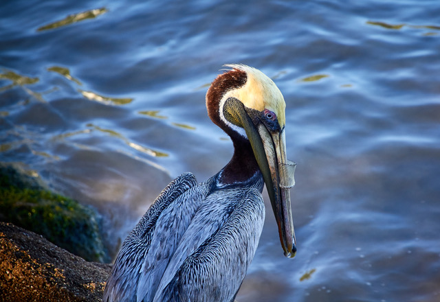 AdobeStock_196781722.jpeg
