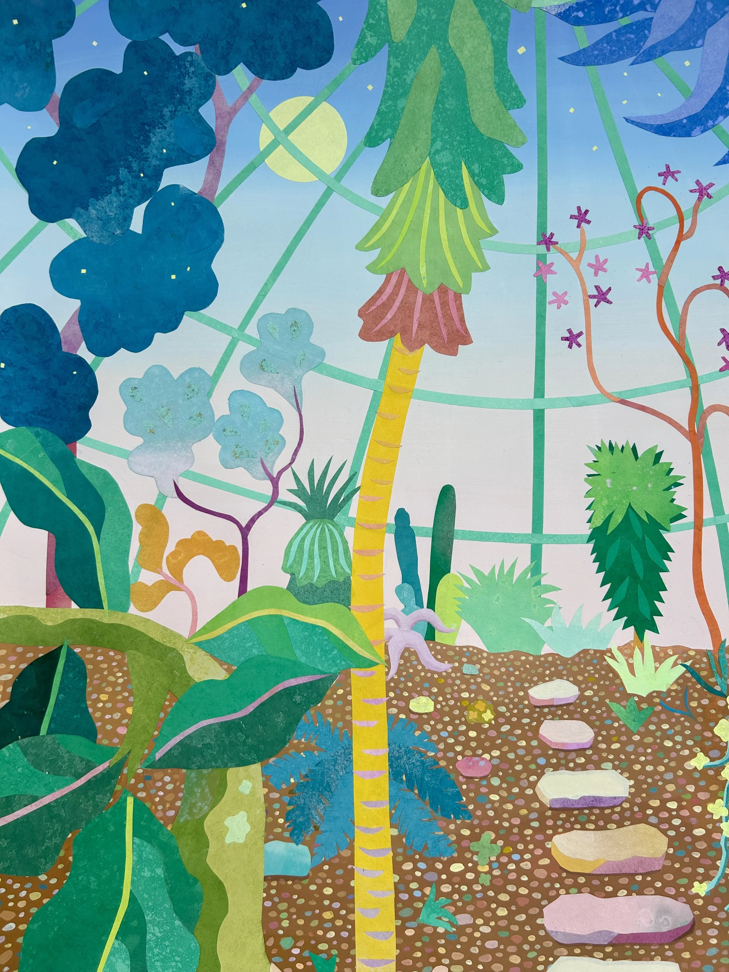 IMG_8581.jpeg