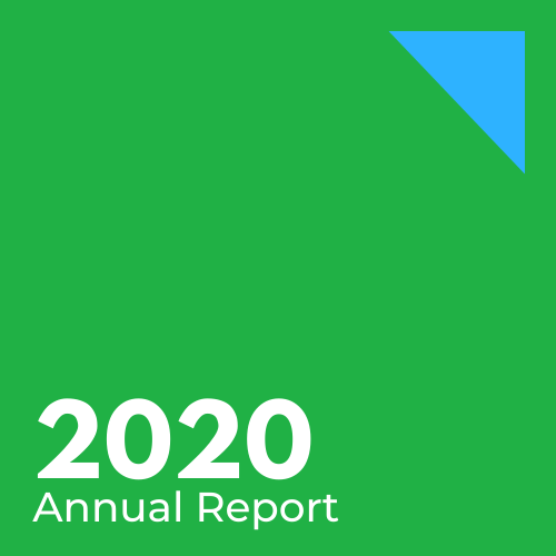 Annual report.png