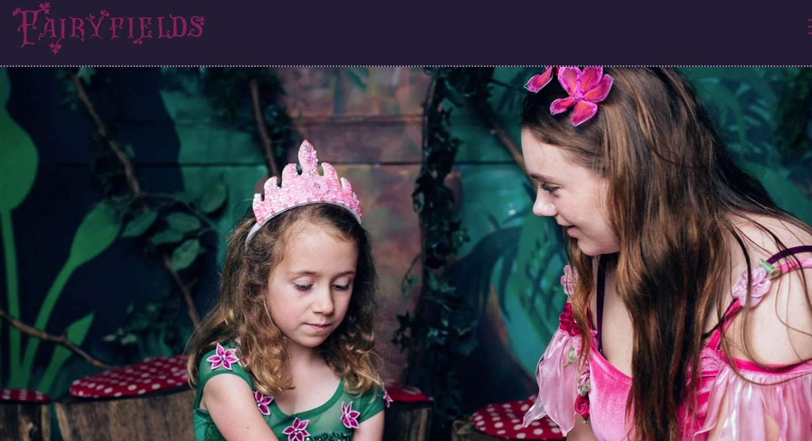 Fairyfield Image 28.02.JPG