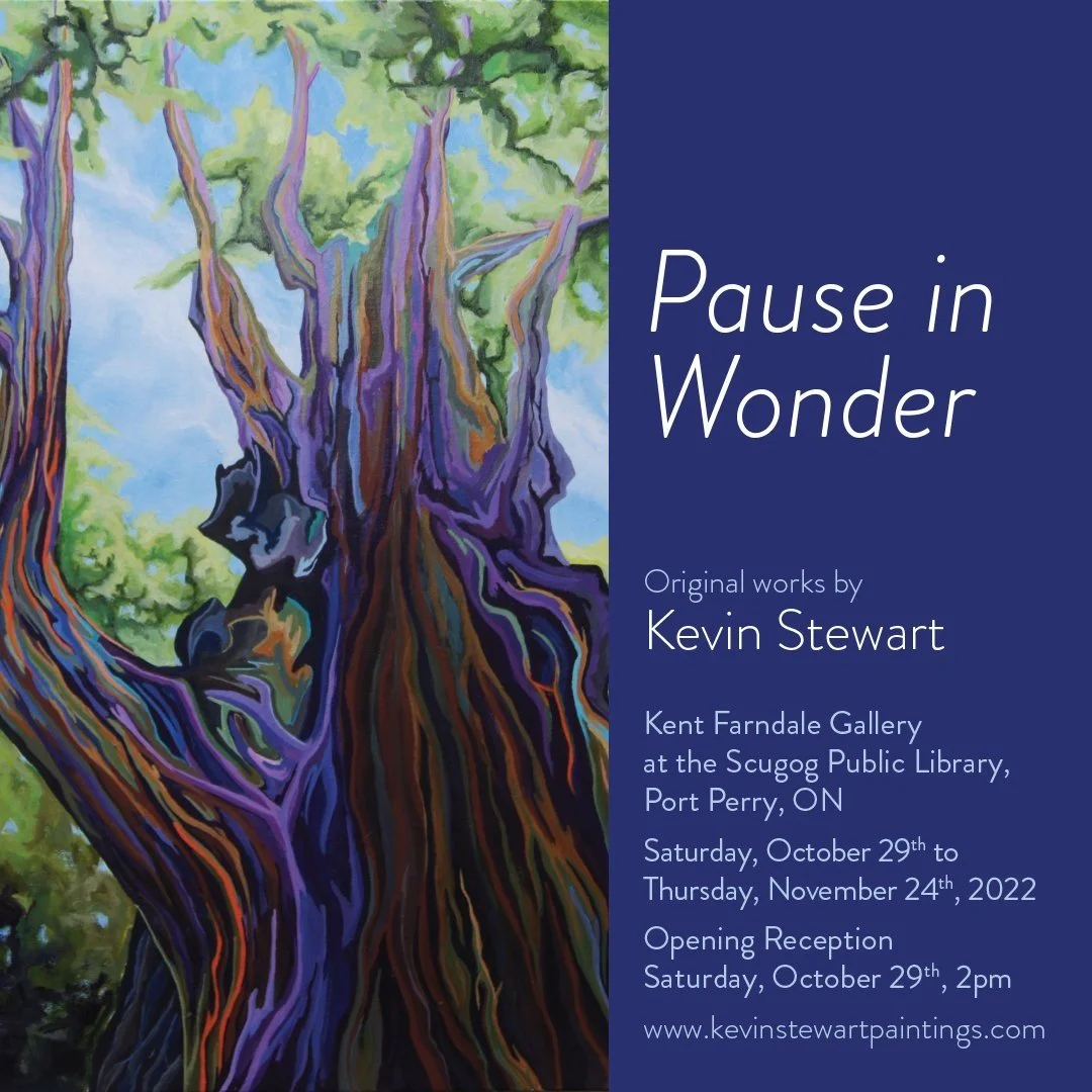 Pause and Wonder Opening Reception