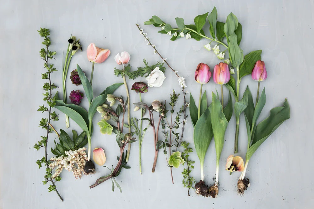 Spring flowers flatlay