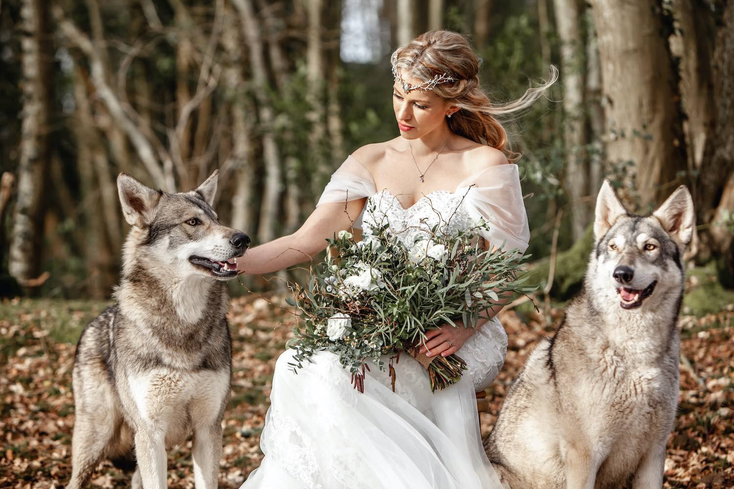 Winter bride in woodland with two wolves