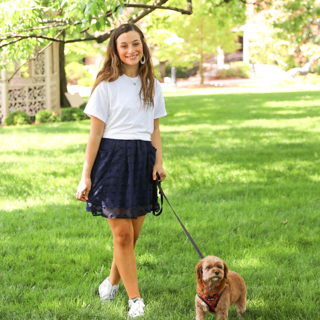 A young girl walking a small brown dog in a park with green grass and trees.