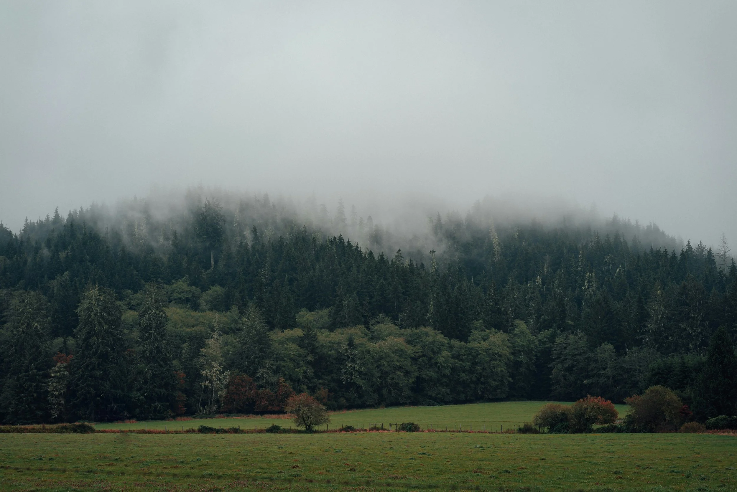 12 Things People Don’t Know About Hunger in Clallam County: #2