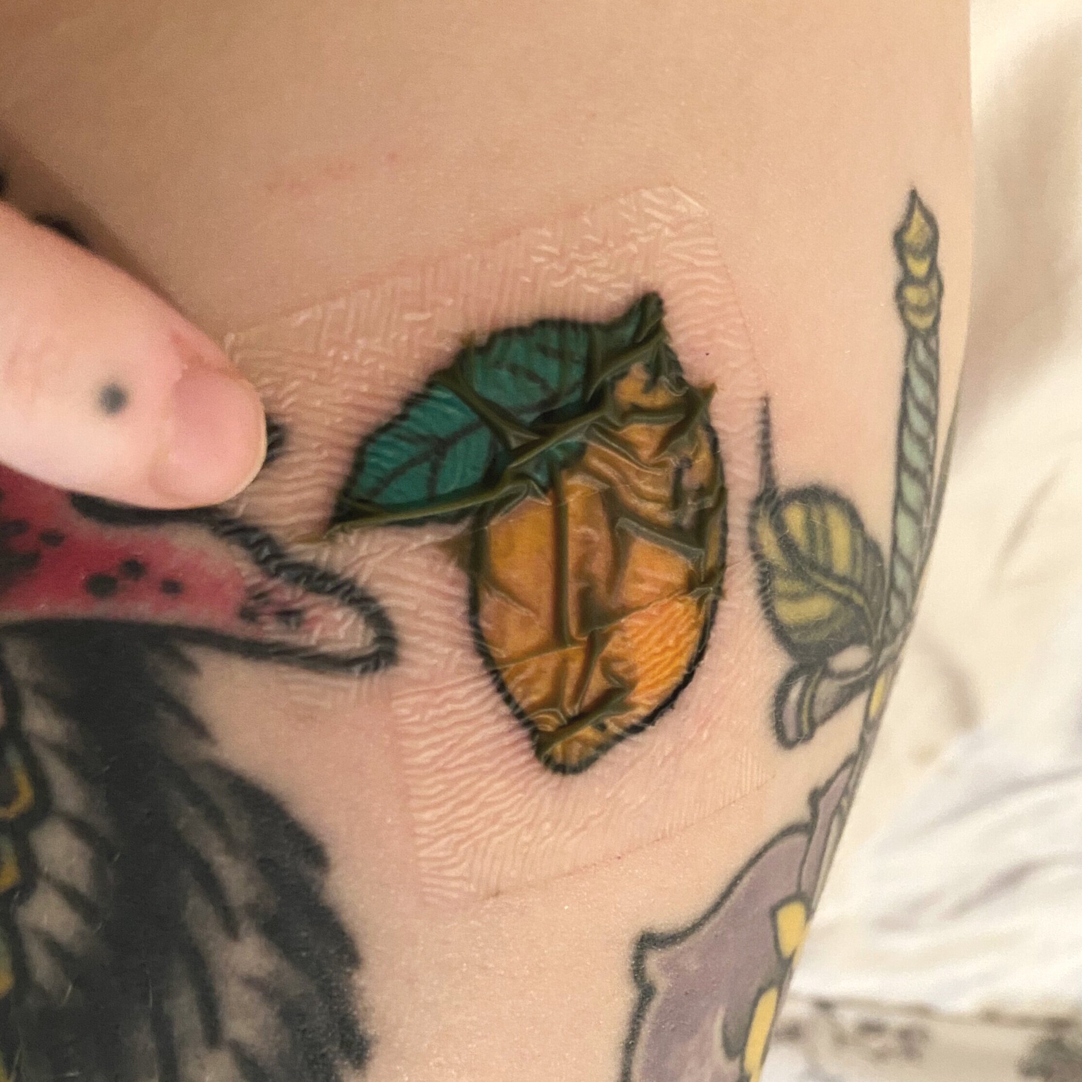 How Do I Know if My Tattoo is Infected  Stories and Ink