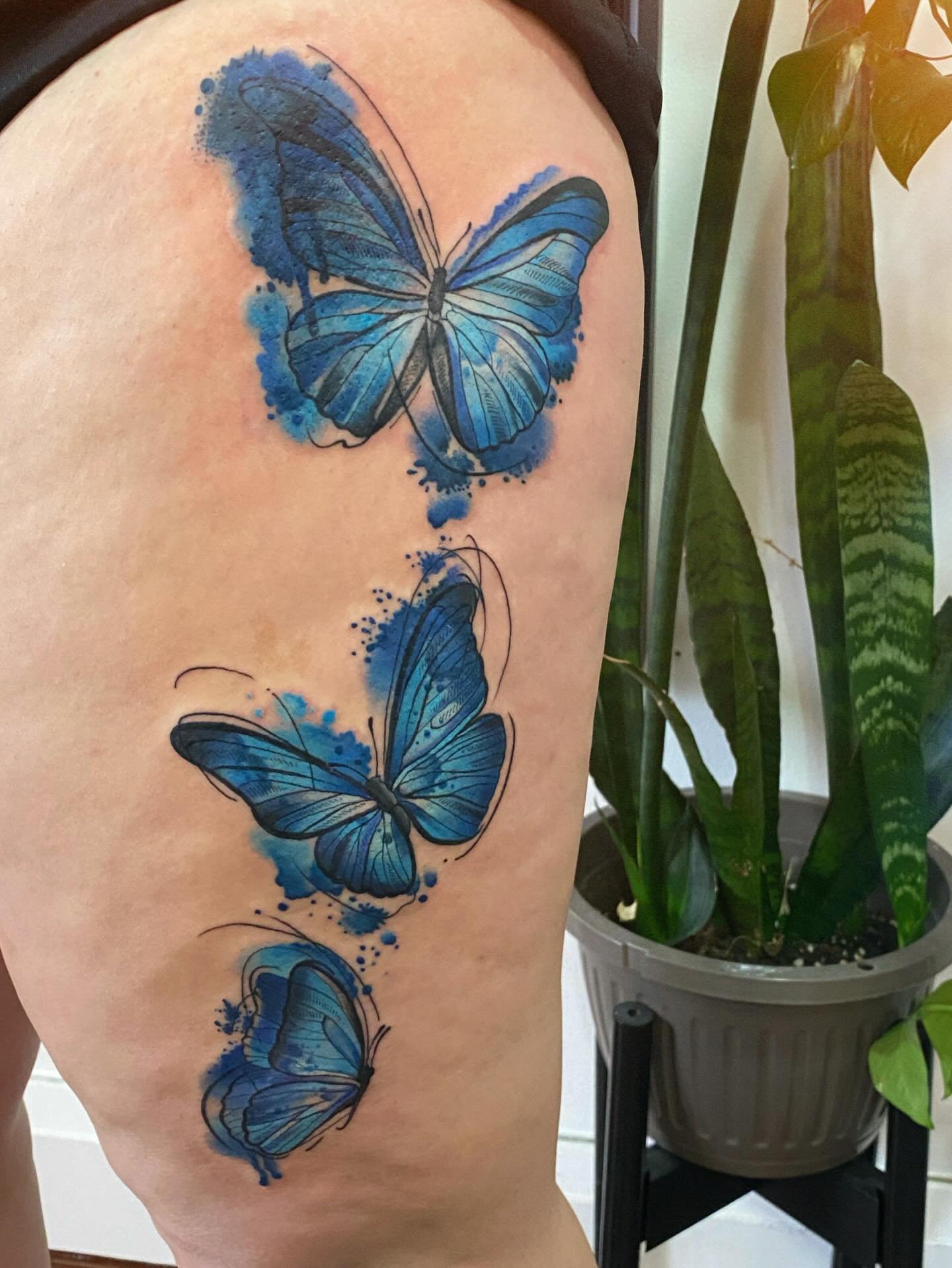 Reposting a favourite from 2023 for Maddy 💙🦋