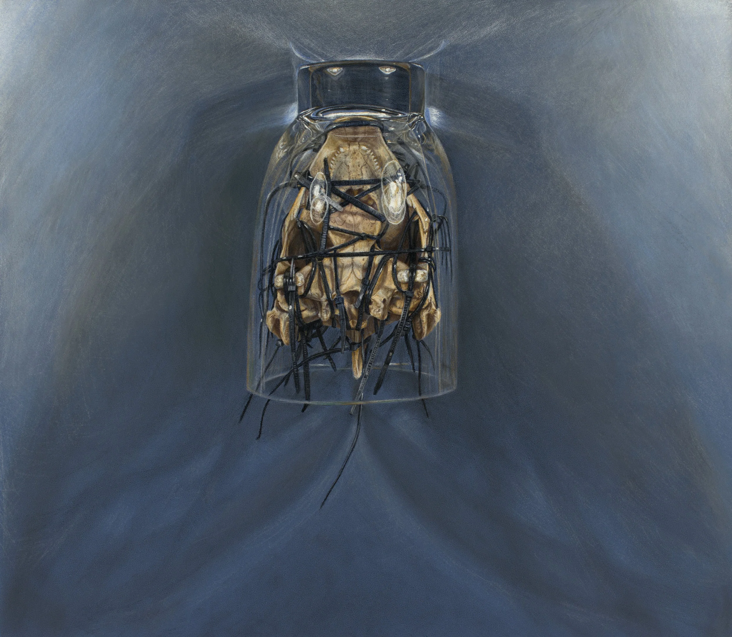 Bone Icon/Ghost Moth