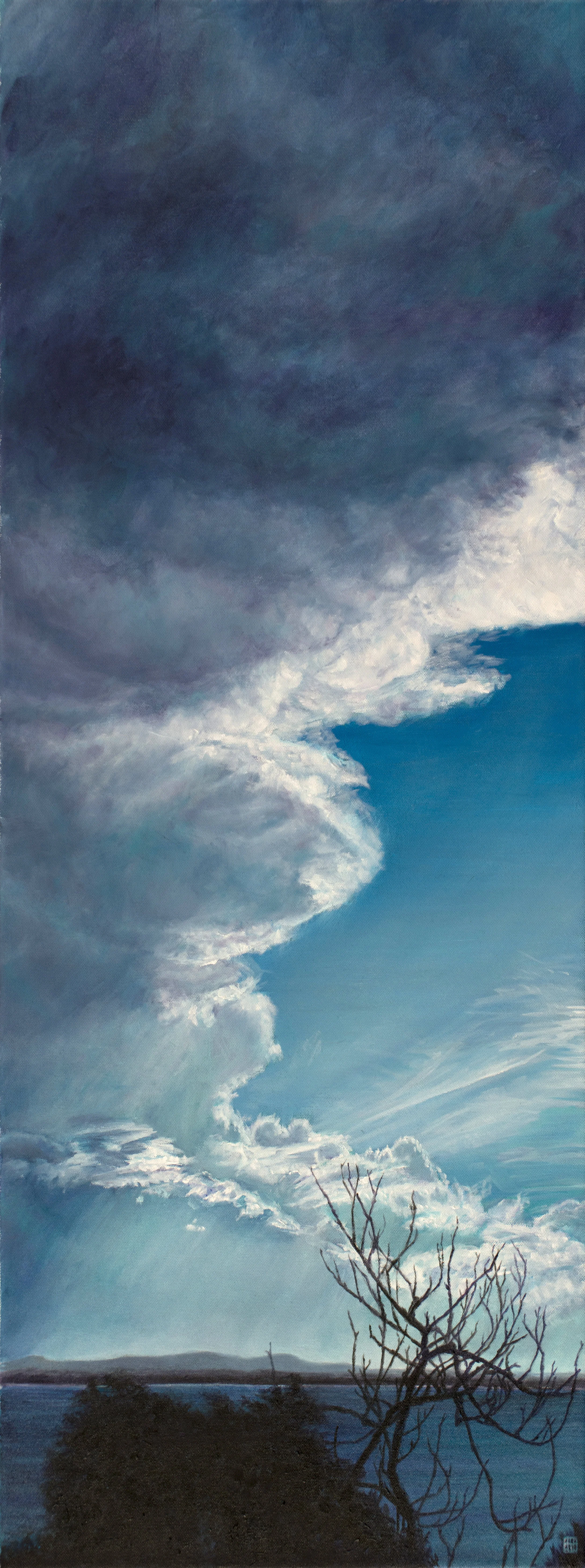 Storm Front, January 30