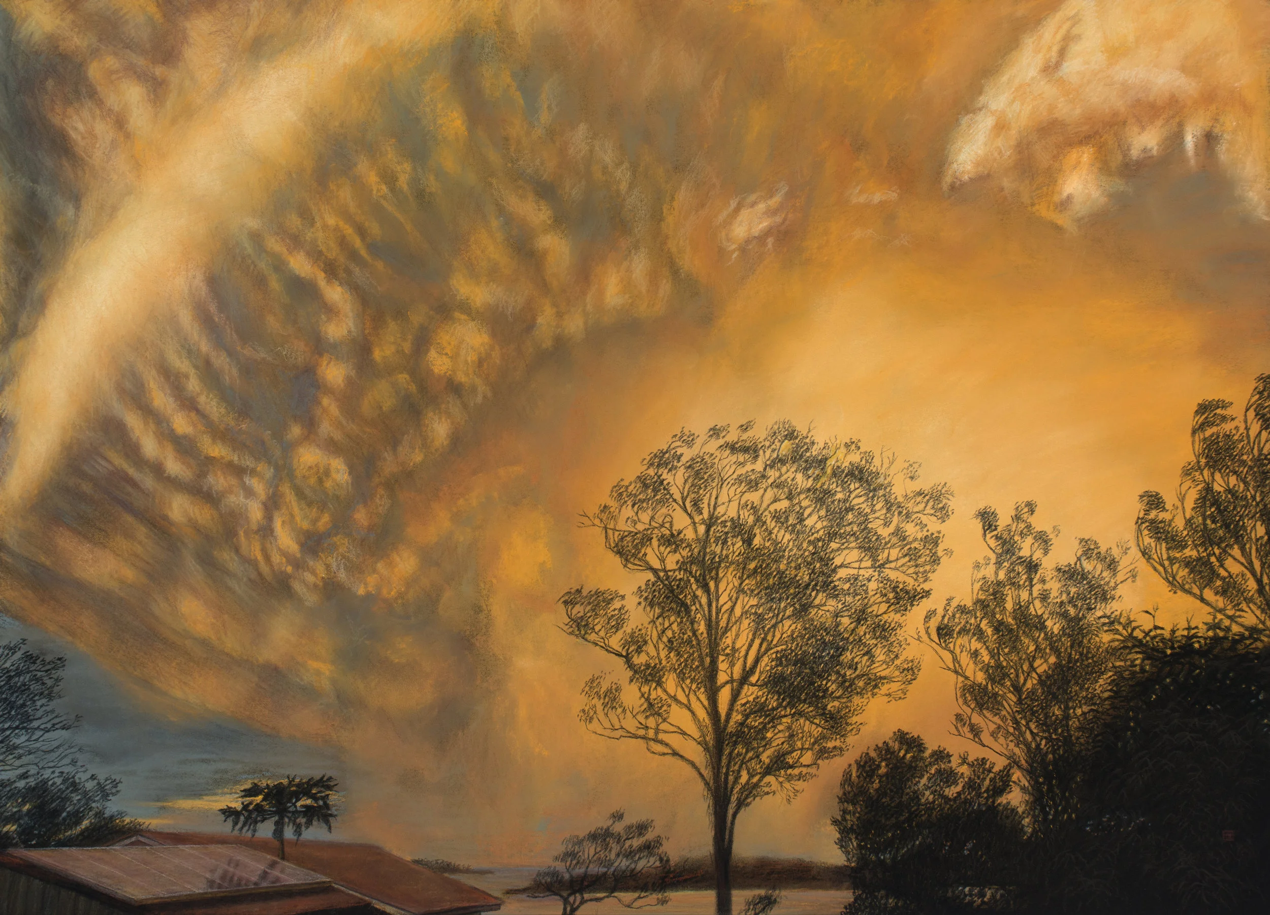 Timothy St, November 30