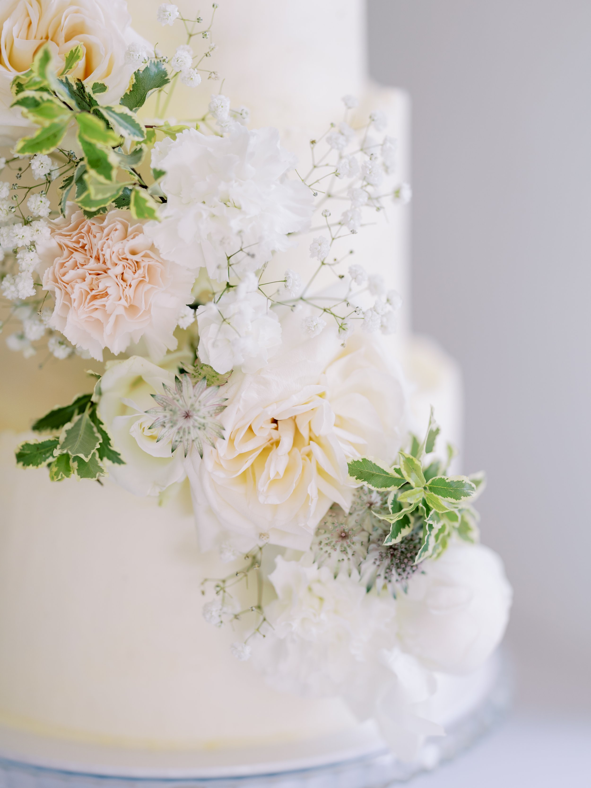 Heledd-Roberts-Photography-Talhenbont-Wedding-Photographer22.jpg