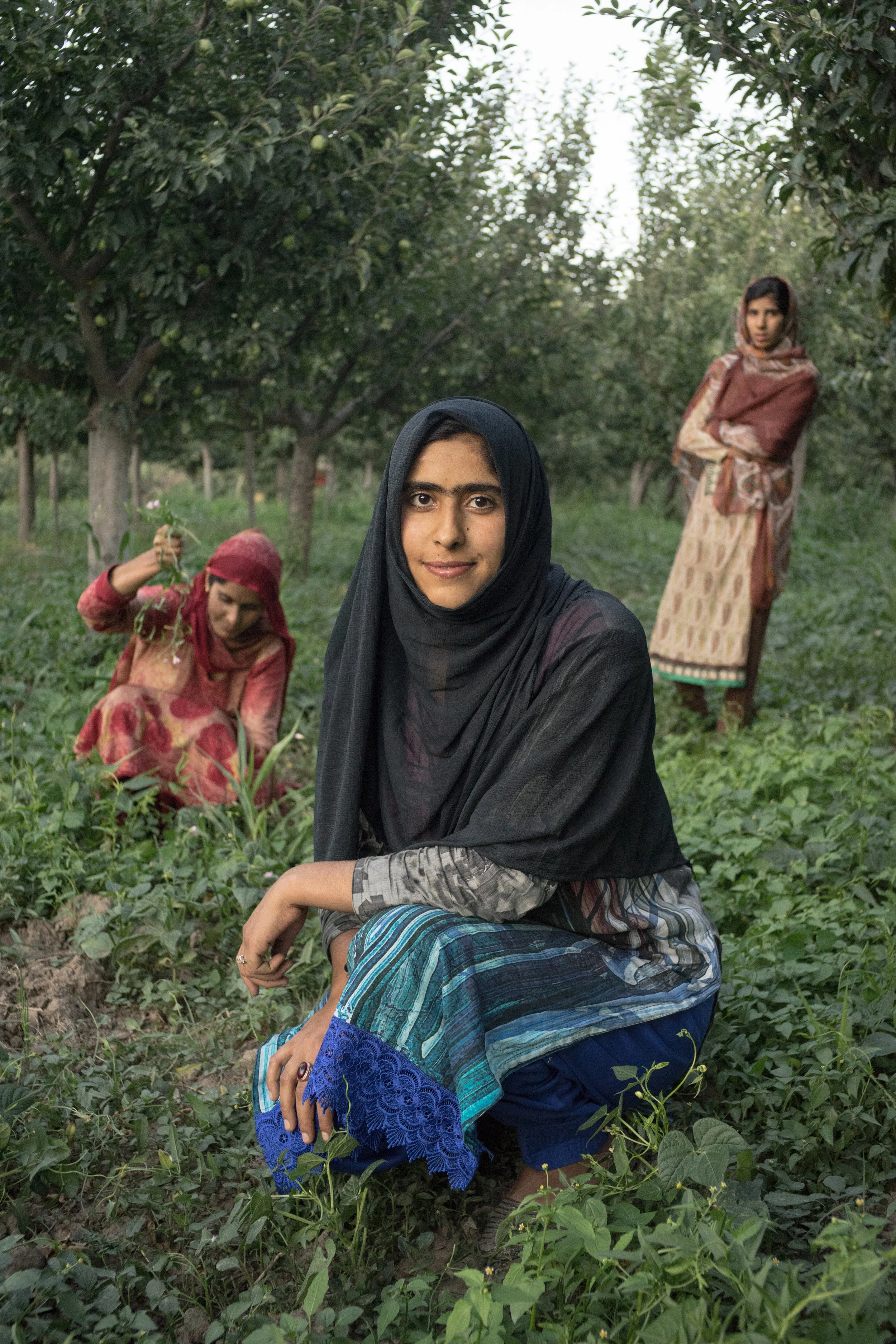 Working the orchards.