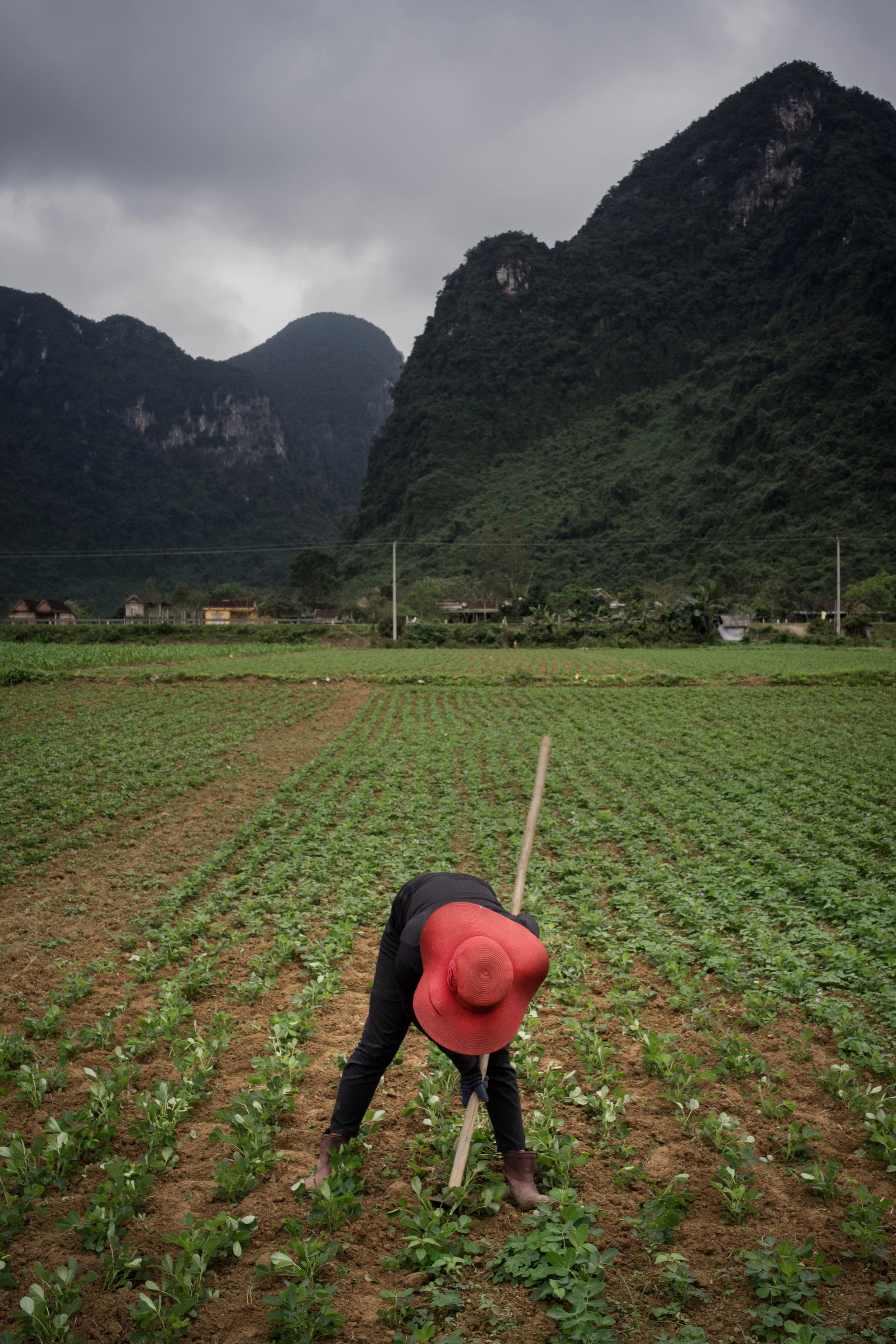 Working the fields.