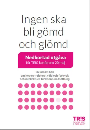 Ingen-ska-bli.jpg