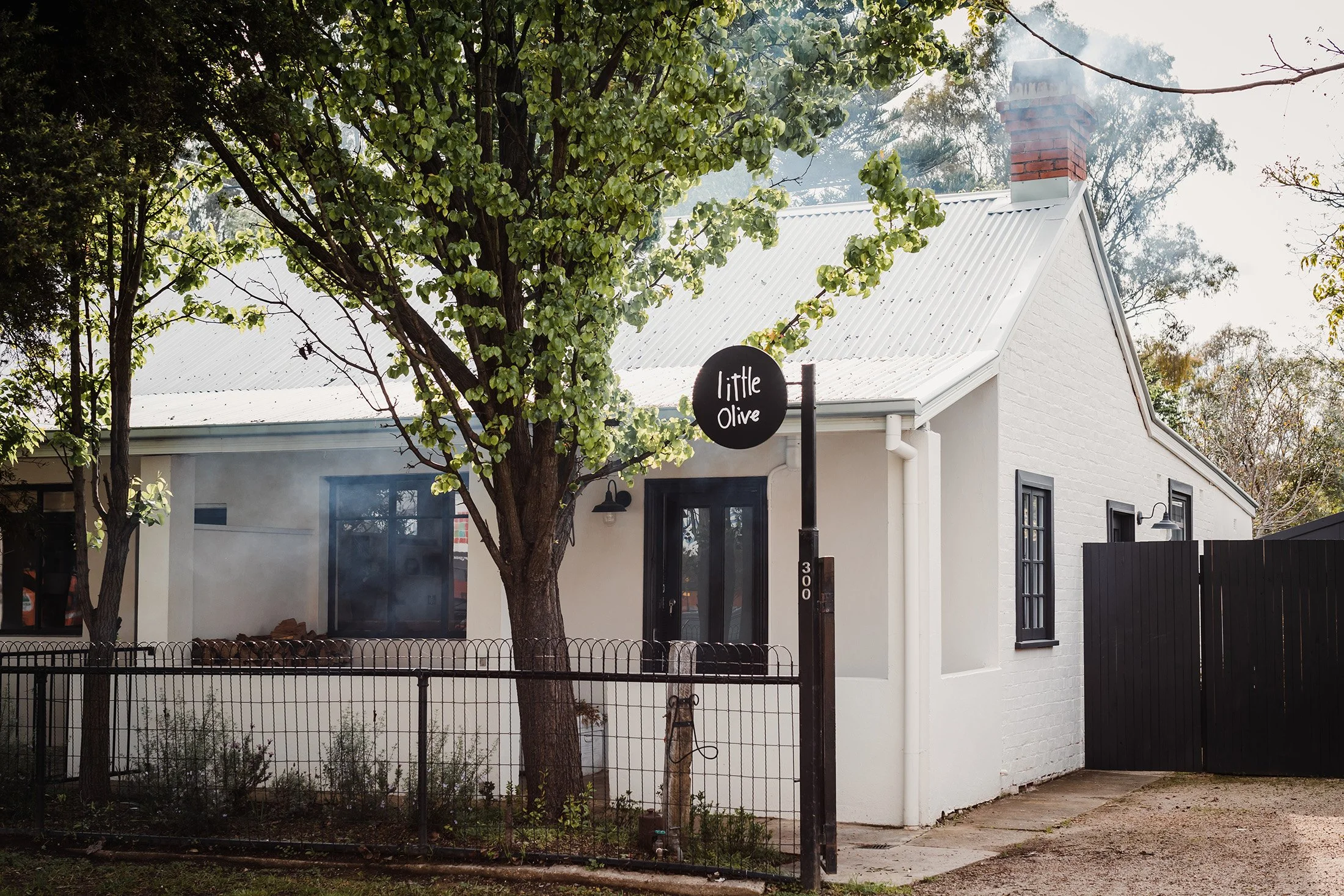 LITTLEOLIVE_HIGHRES_OCT22-3.jpg