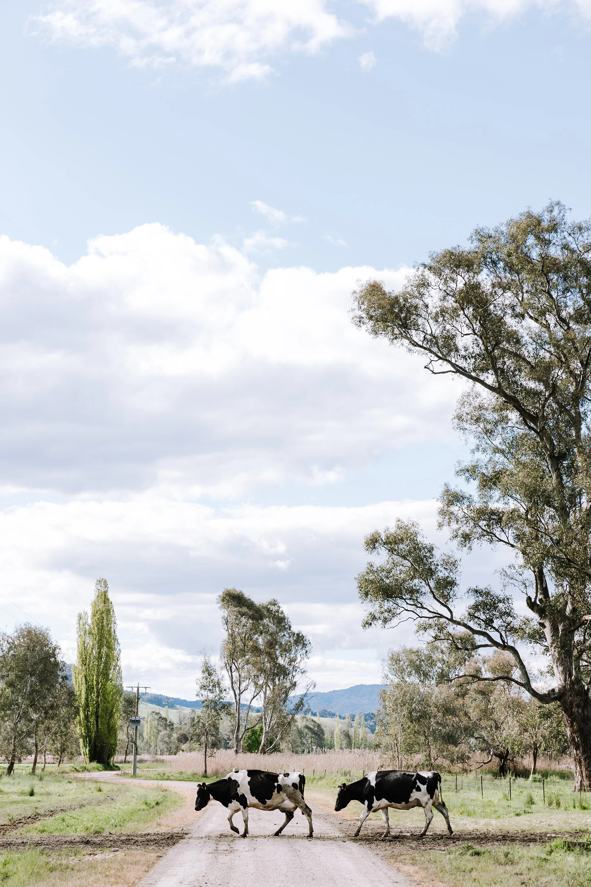 SARAHCROSTHWAIT_HIGHRES_OCT22-60 (1).jpg