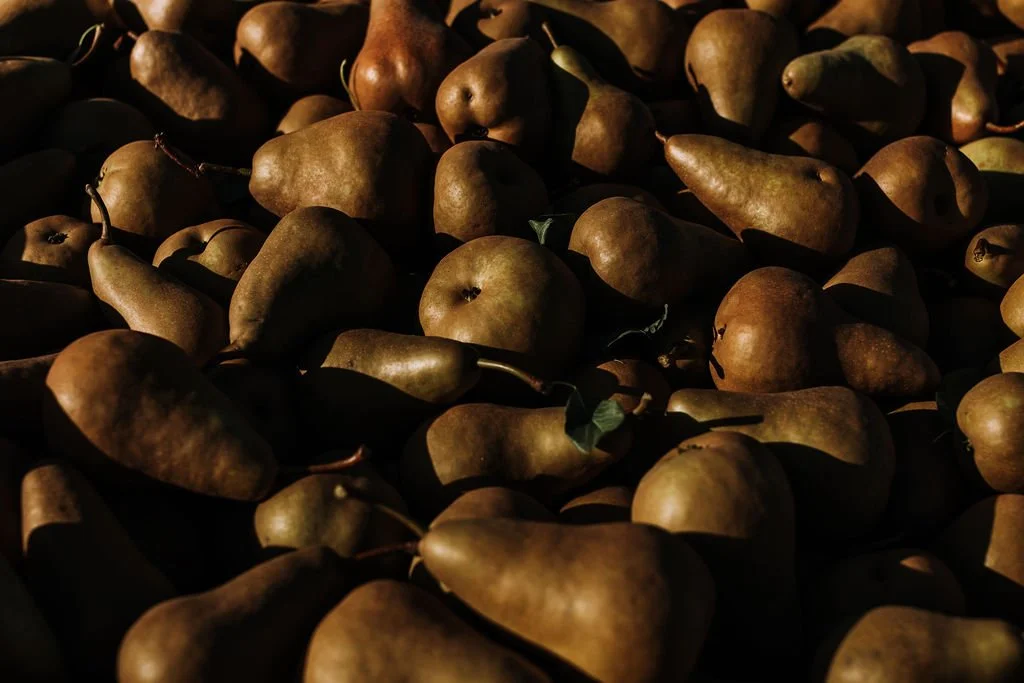 goldenpears_highres.jpg