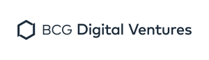 bcg-dv-logo-300x87.png