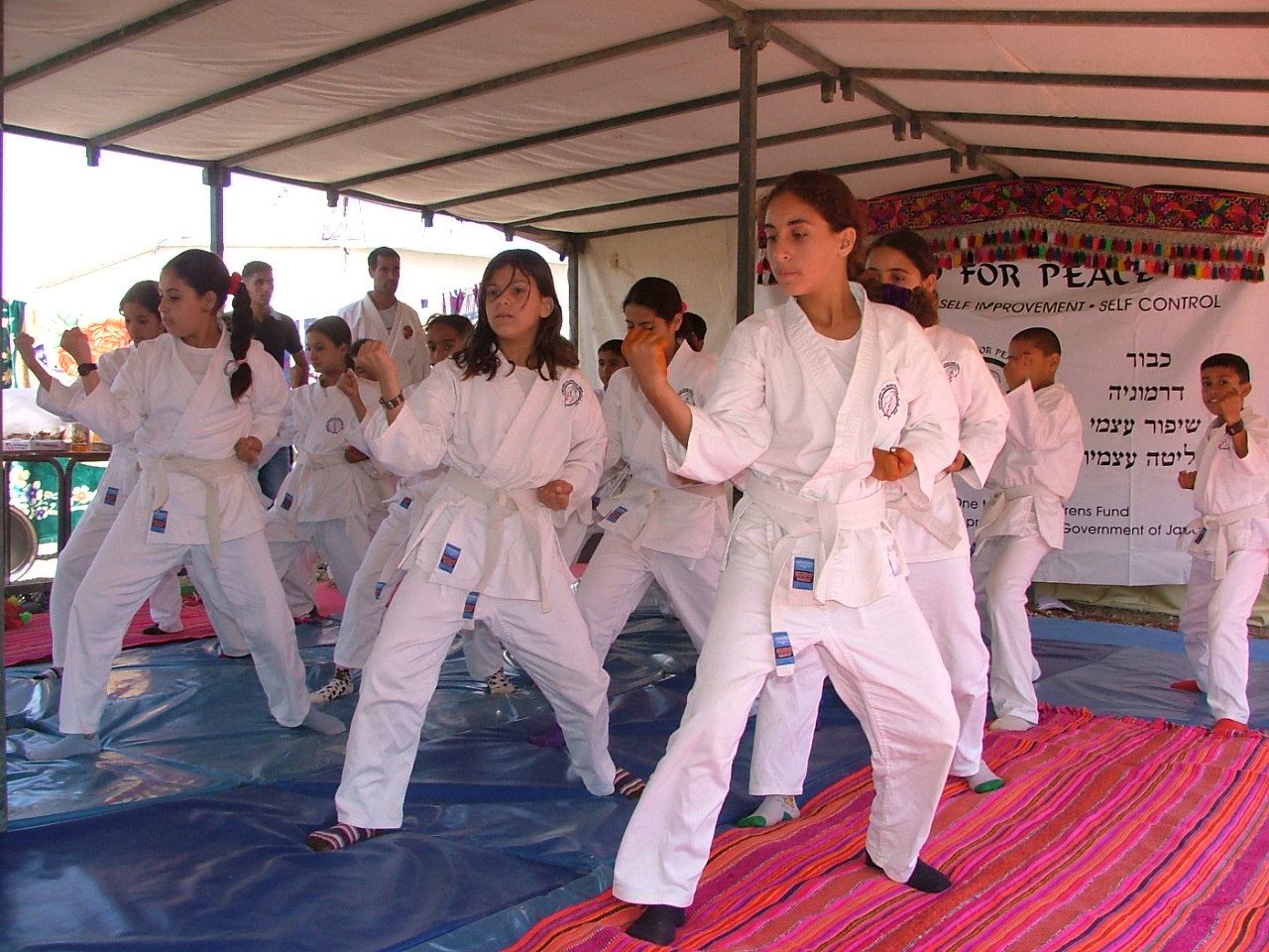 Budo for peace 1 .JPG