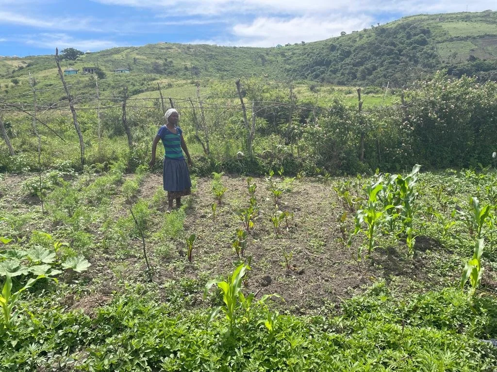 When a seedling brings life