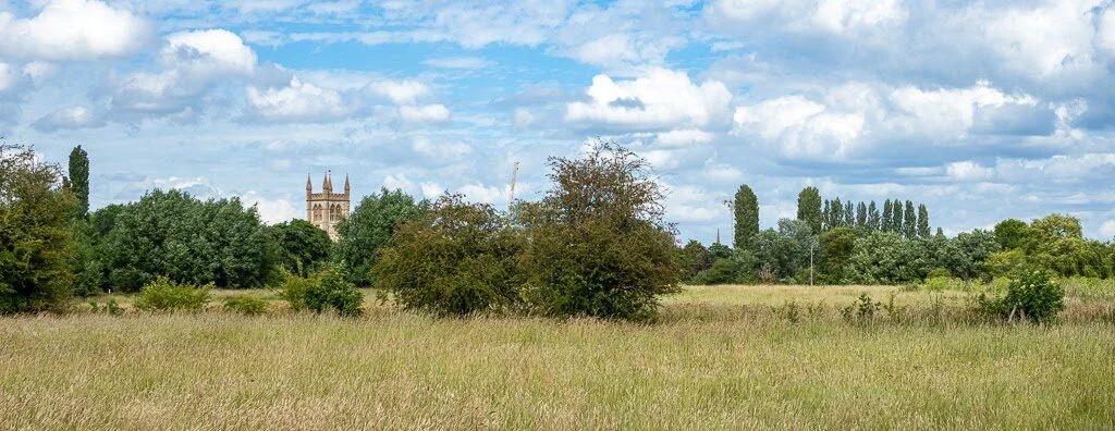 Busy Summer Days on the Meadows