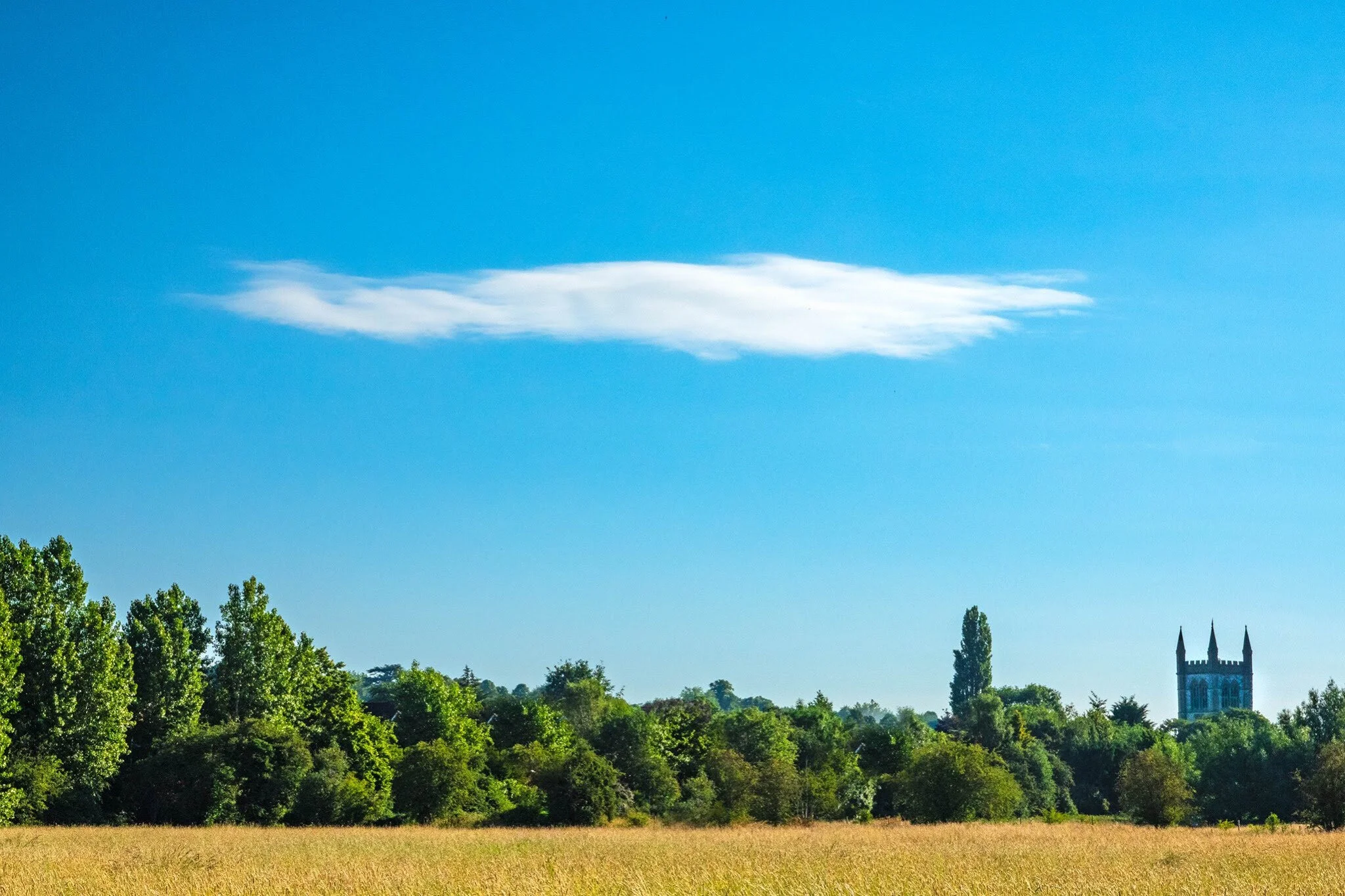 Summer update from the Bishop's Meadows