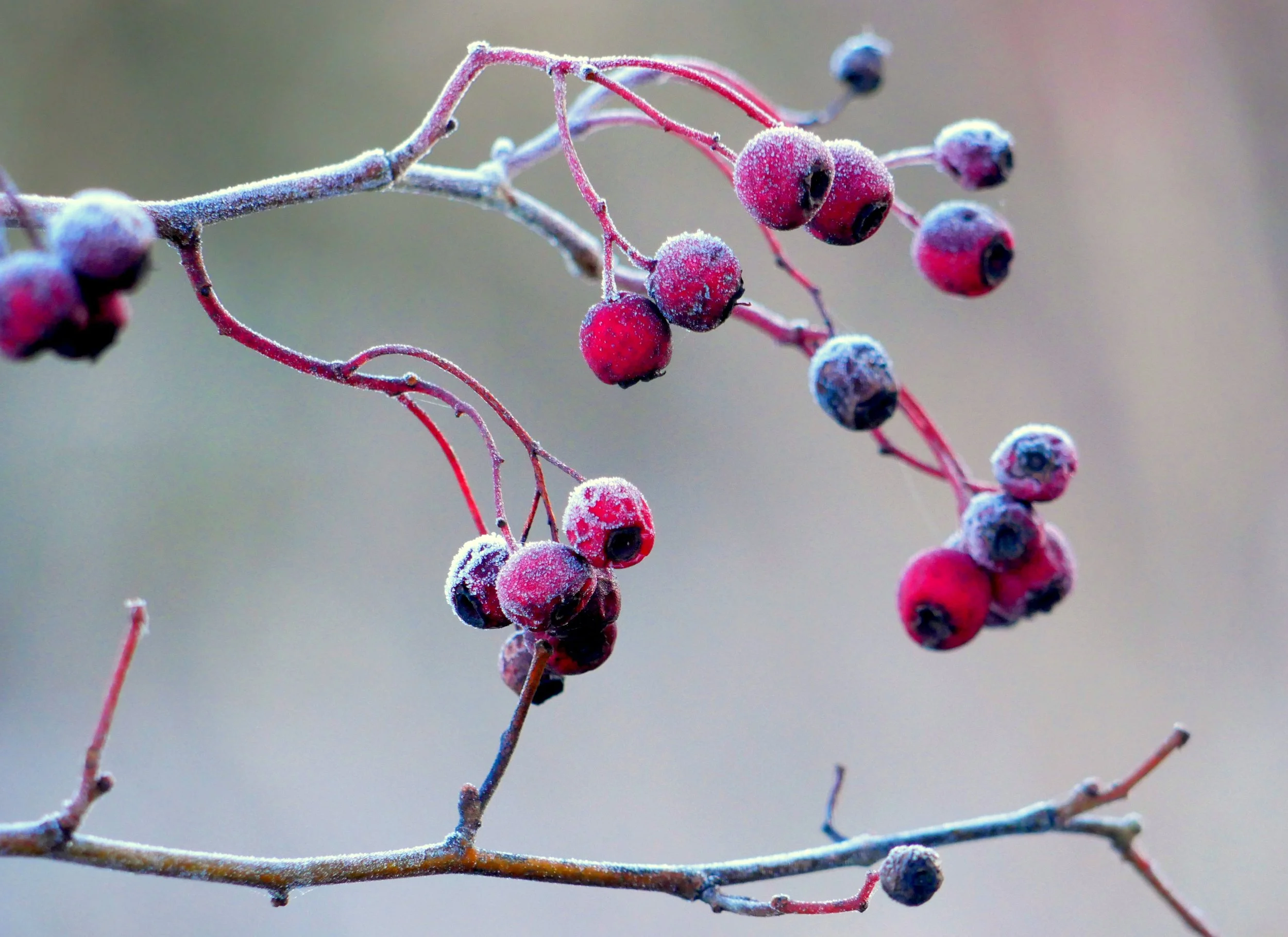 Planning | Waverley Borough Council