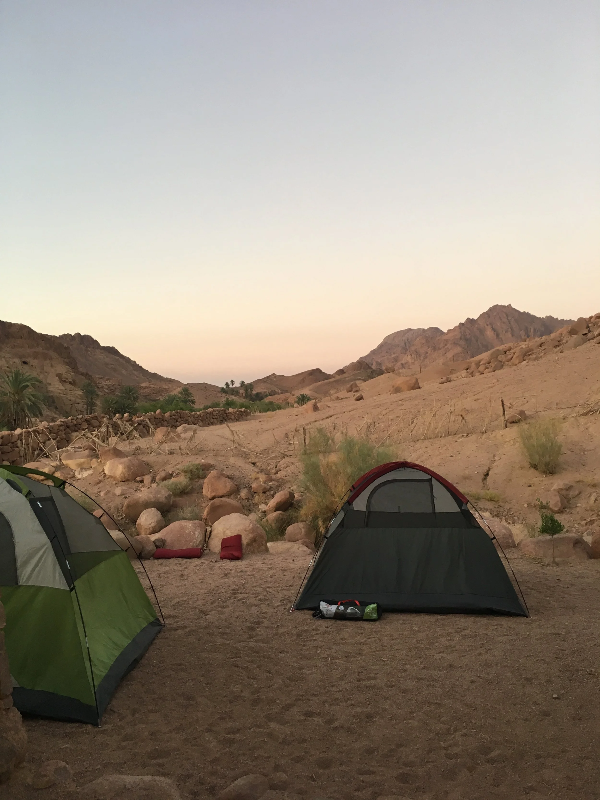 IMG_4572.JPG