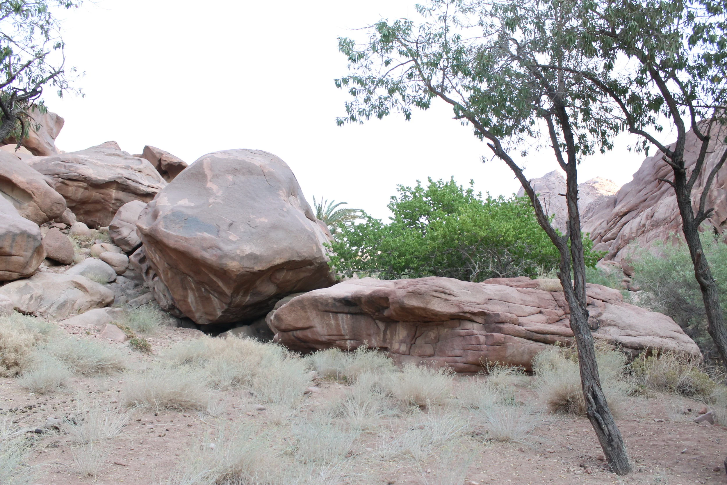 Our calling to St. Catherine