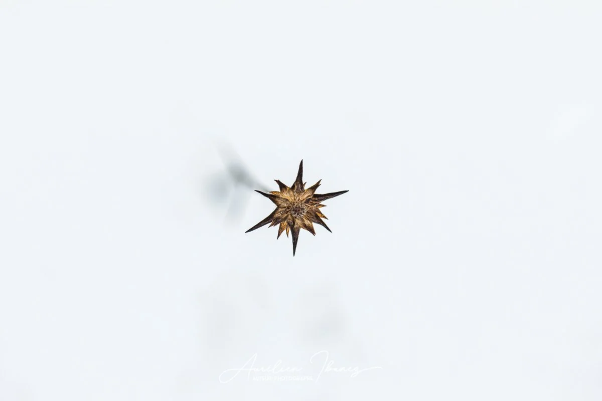 Minimalisme #05
