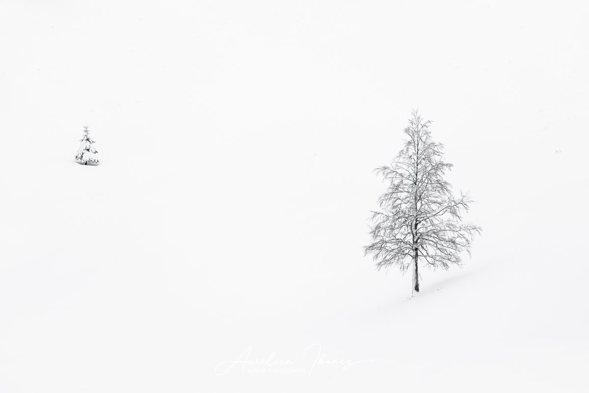 Hiver #13