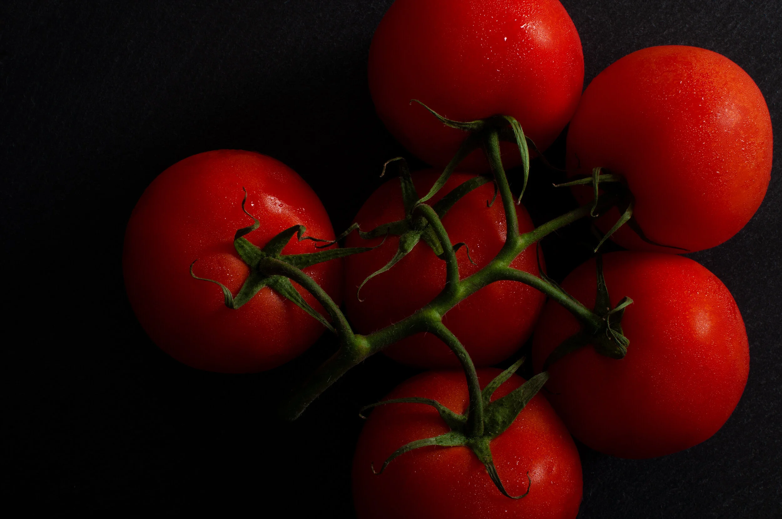JANKEIFER_STILL_LIFE_VINE_TOMATOES.jpg