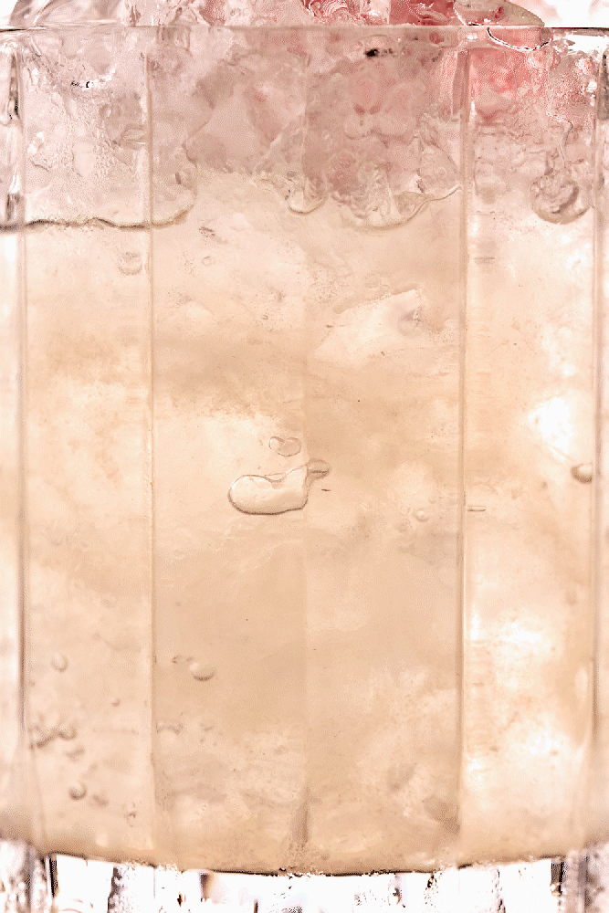 08-05-2024 Grasshopper 00001.gif