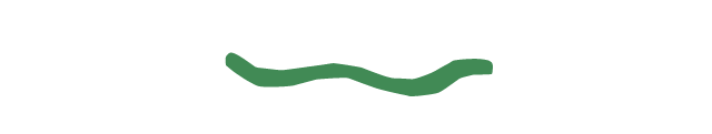 divider-02.png