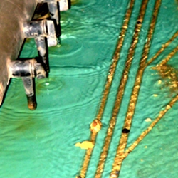 250x250.jpg
