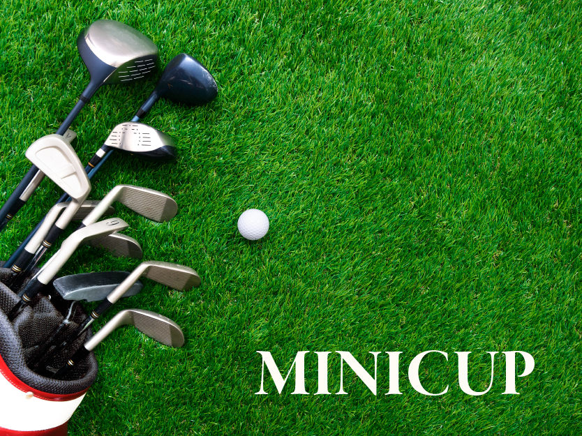 MINICUP 2024 
