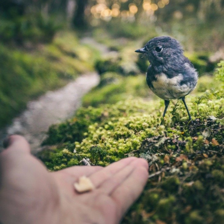 In our work with organisations and candidates, this comes up daily.

After retrenchments or big culture shifts, people reassess what feels safe. They pay attention to how leaders show up and whether difficult realities are acknowledged.

What many le