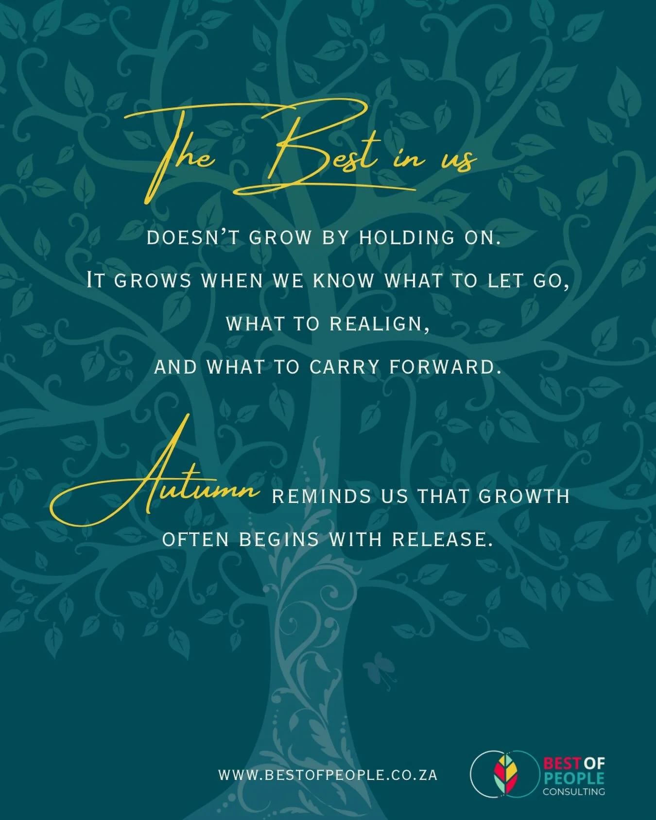 The first week of autumn 2026🍂

A season of reflection, realignment, and intentional growth.

Sometimes the best step forward begins with letting go.

#FirstWeekOfAutumn #leadership #selfawareness #bestofpeopleconsulting