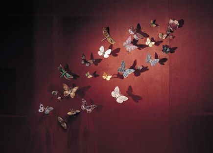 butterflies-b.jpg