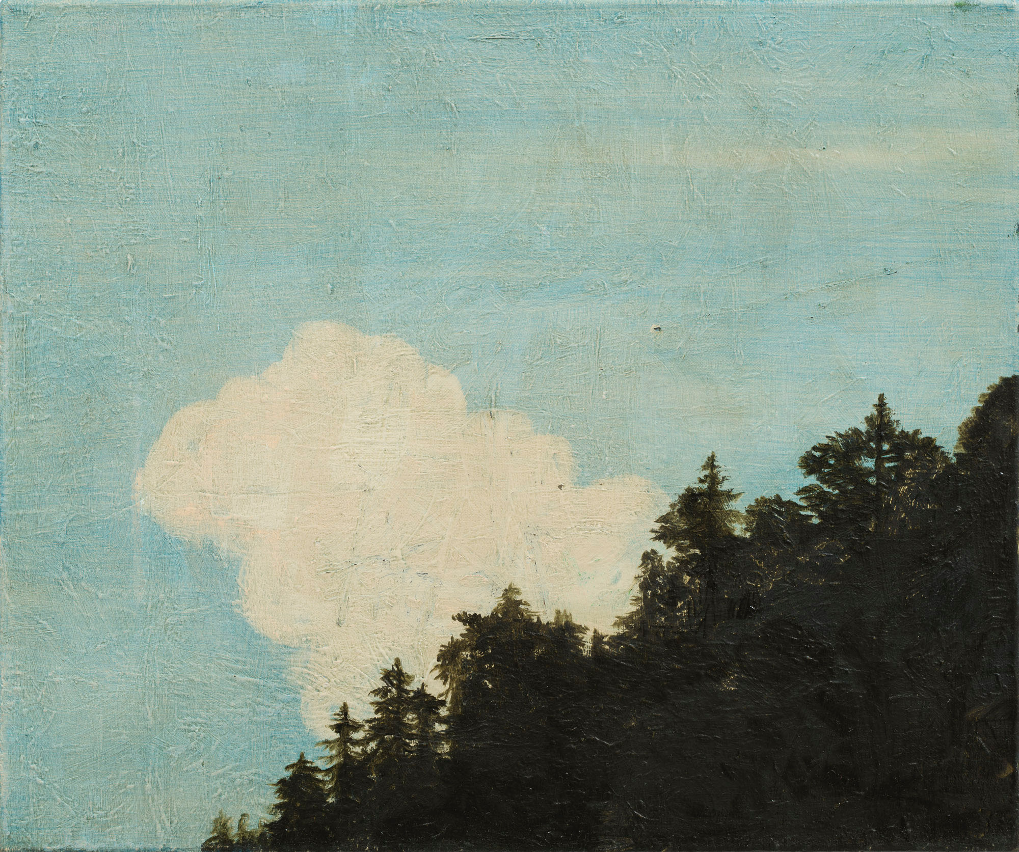   Hvit sky over treranden  31x37 cm opl 2015    