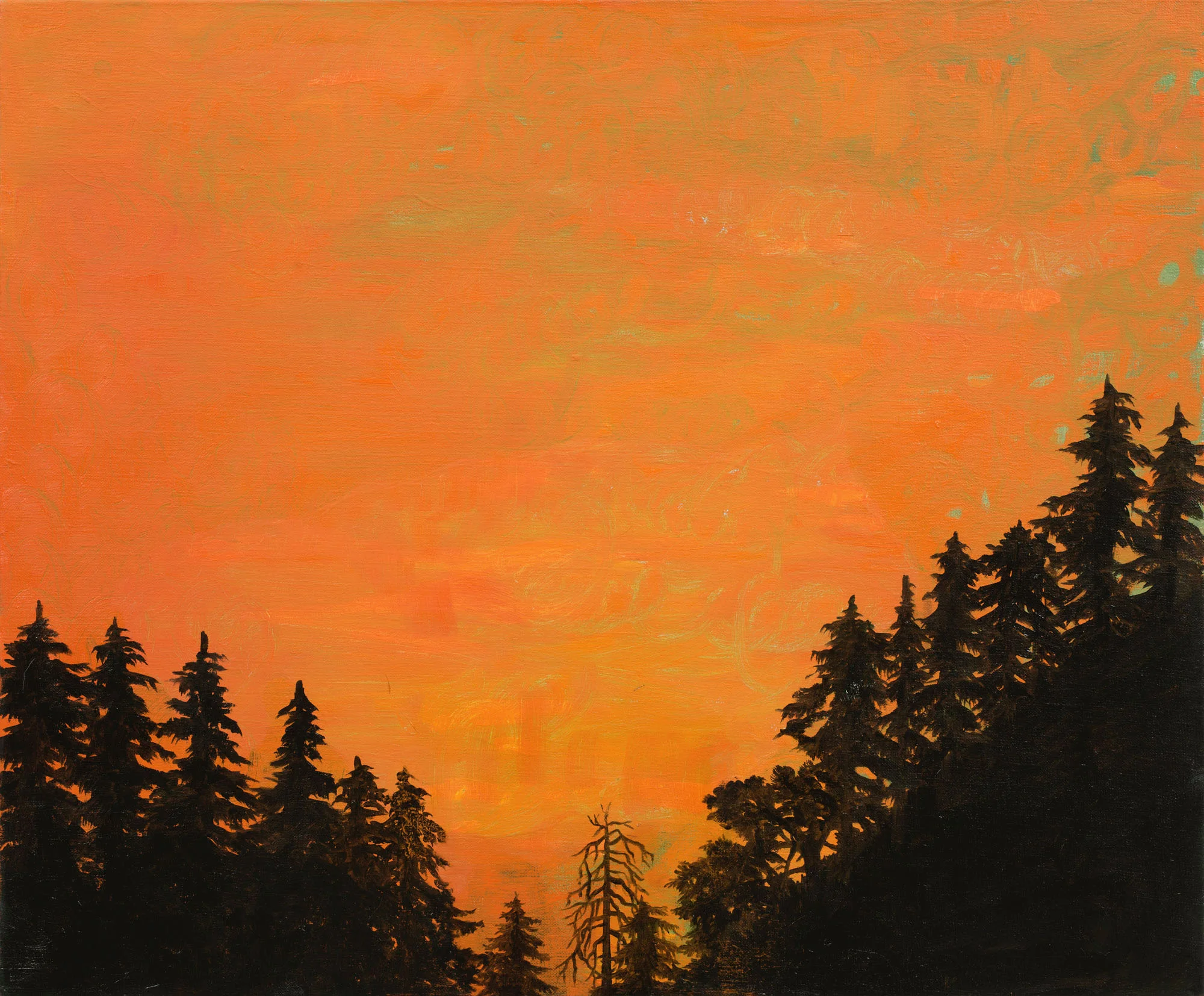 Varm kveld 52x63 cm olje på lerret 2015