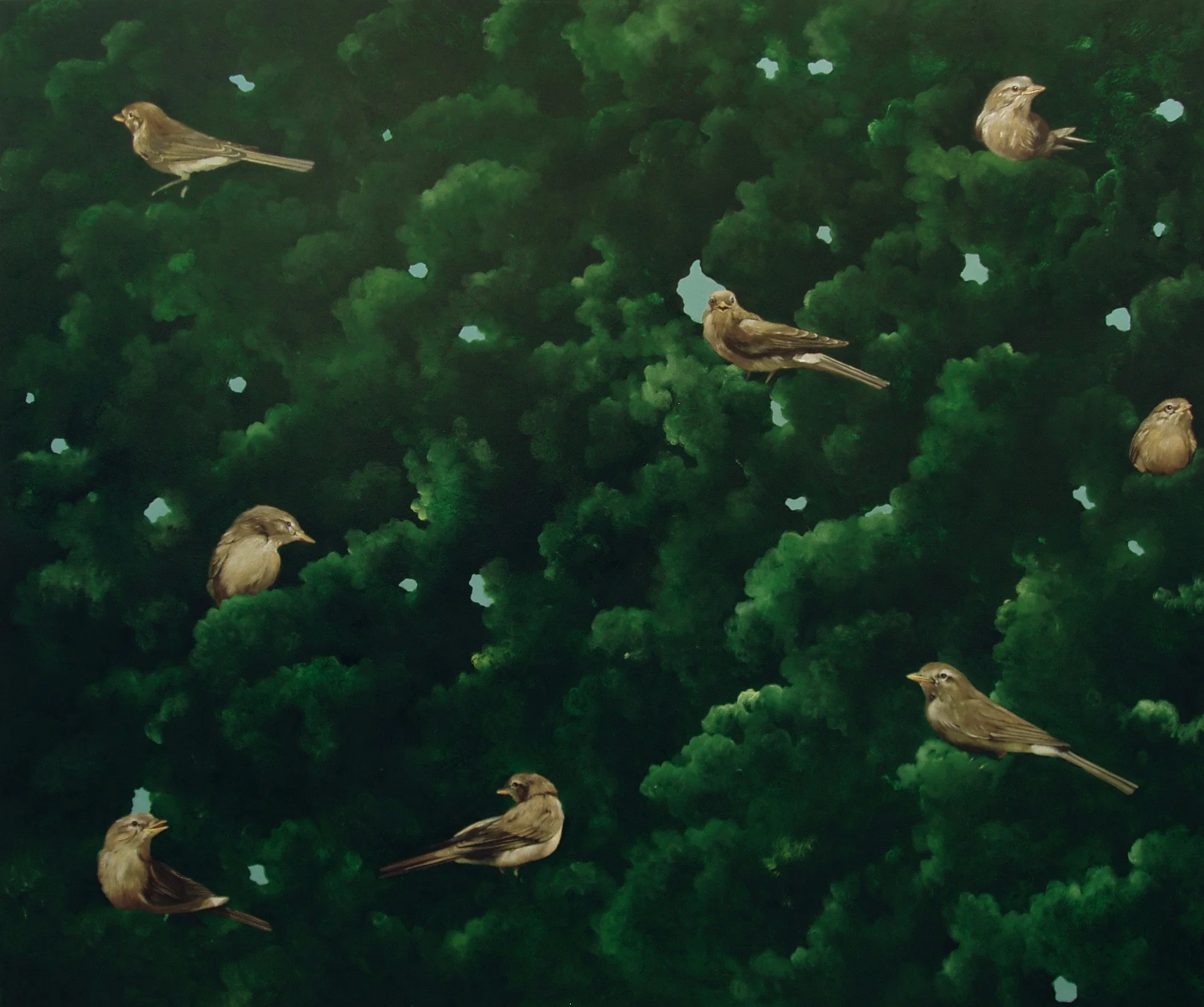 Birds, tell me 99x125cm opl 2004